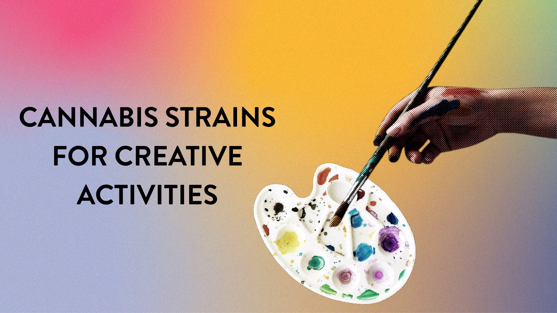 Cannabis Strains for Creative Activities
