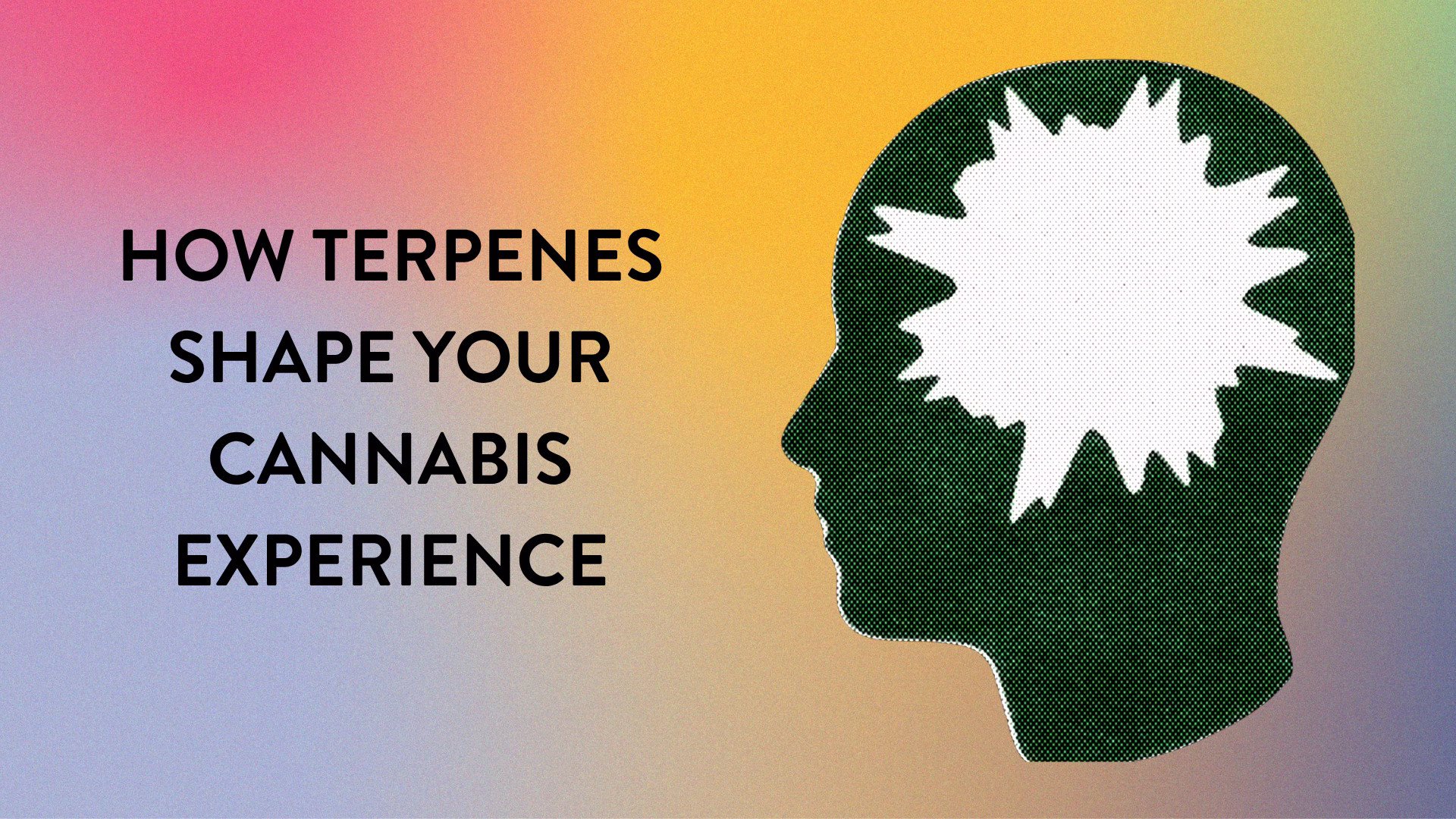 How Terpenes Influence Mood, Flavor and Therapeutic Benefits
