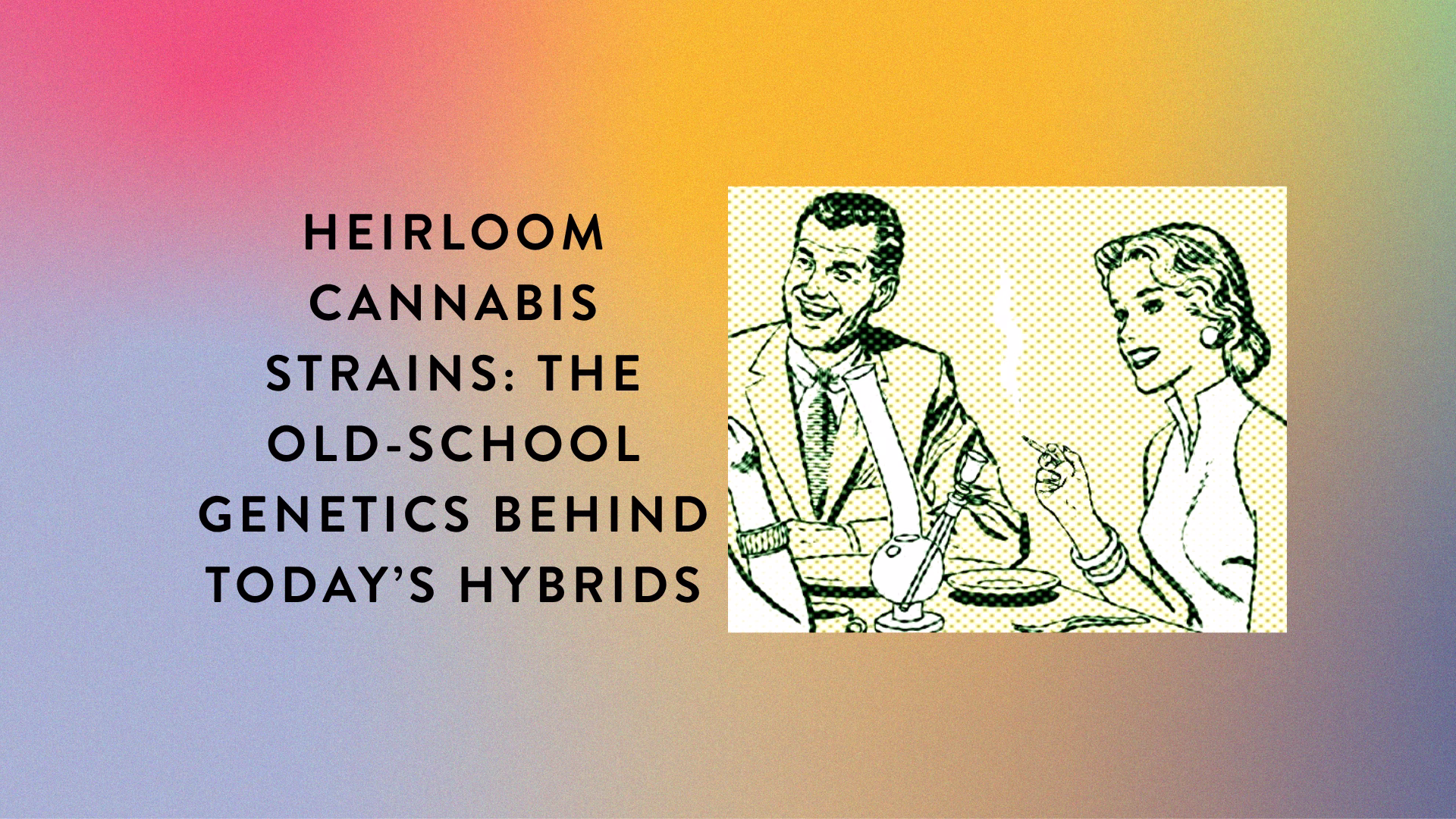 Heirloom Cannabis Strains The Old-School Genetics Behind Today’s Hybrids_BlogPost