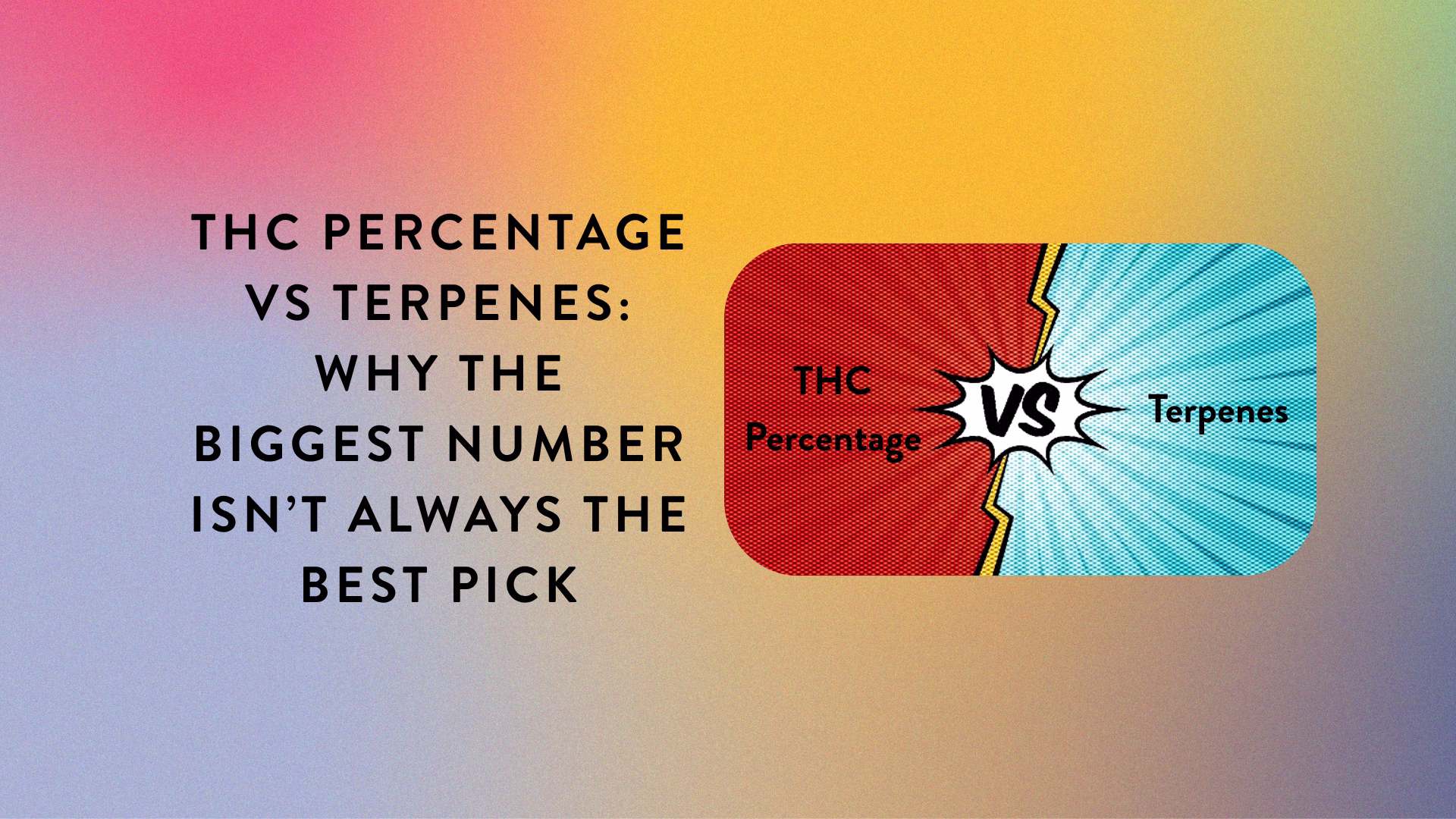 THC Percentage vs Terpenes Why the Biggest Number Isn’t Always the Best Pick_BlogPost