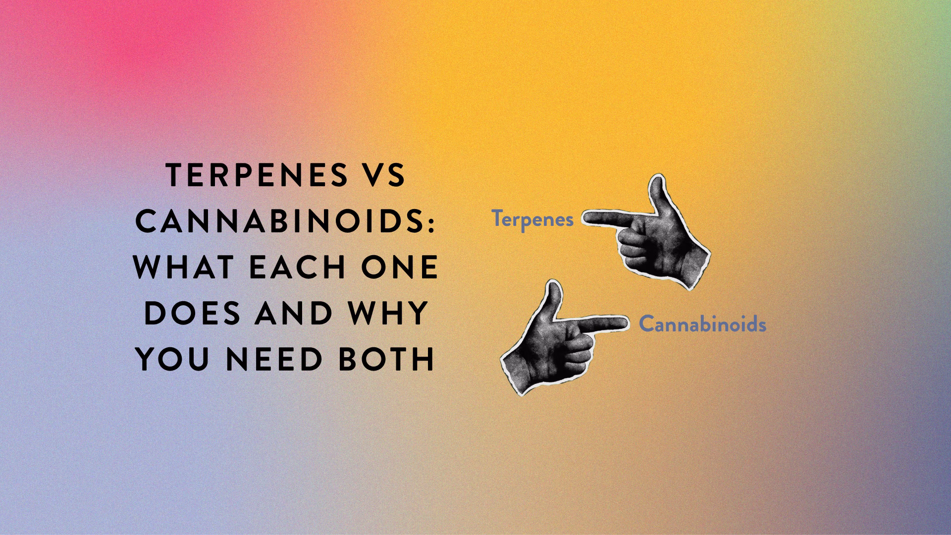 Terpenes vs Cannabinoids What Each One Does and Why You Need Both_BlogPost