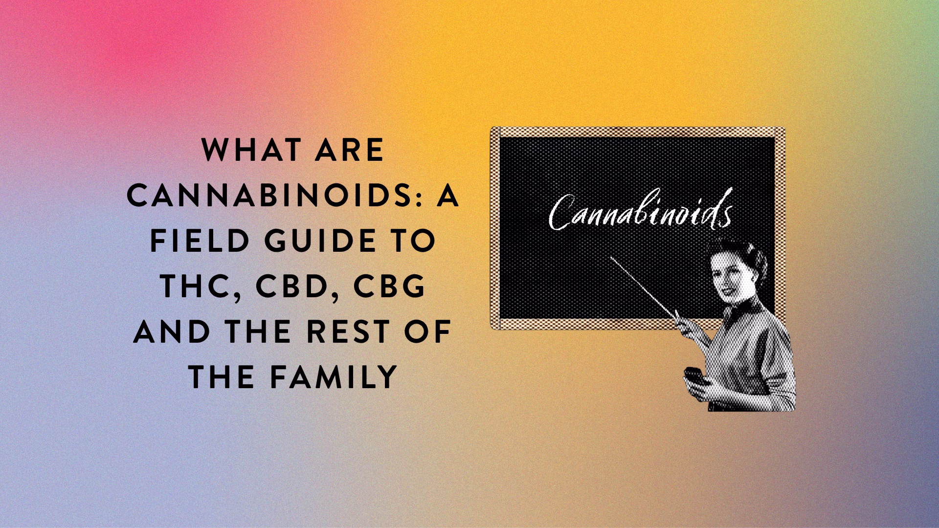 What Are Cannabinoids A Field Guide to THC, CBD, CBG and the Rest of the Family_BlogPost